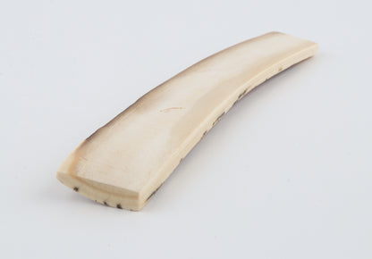 White-orange mammoth bark