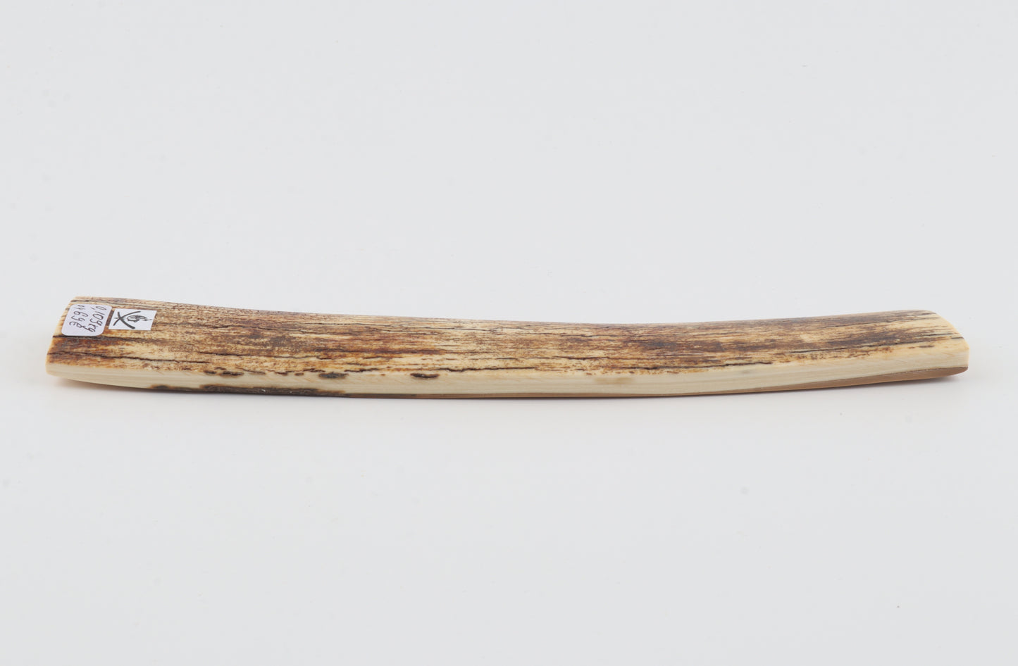White-orange mammoth bark