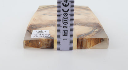Stabilized mammoth ivory scales