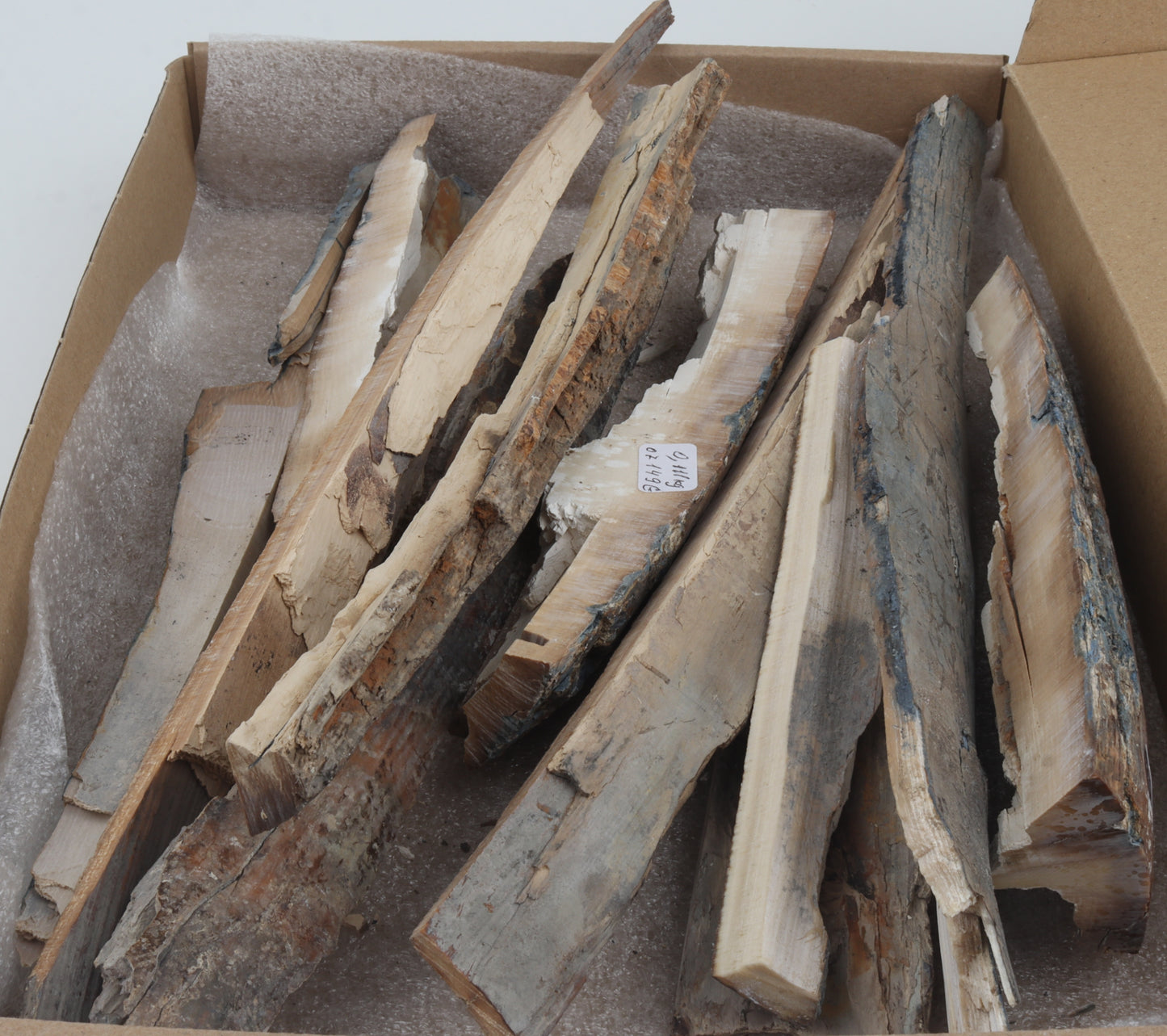 Untreated mammoth ivory offcuts
