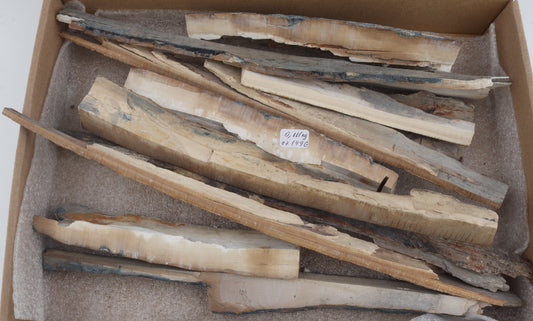 Untreated mammoth ivory offcuts
