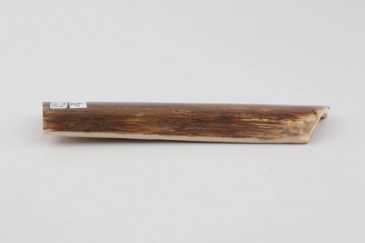 Orange-beige mammoth bark