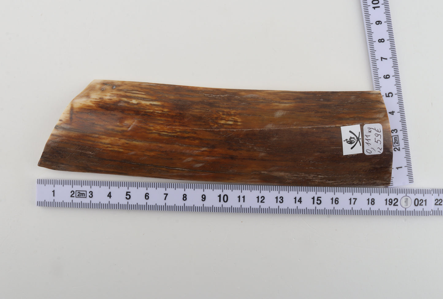 Orange-beige mammoth bark