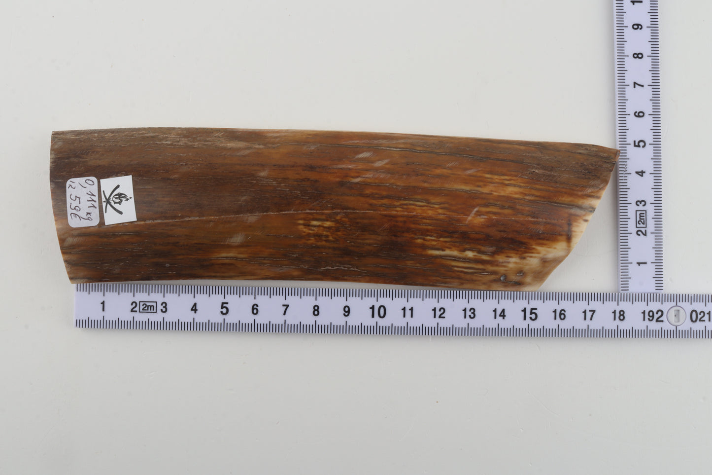 Orange-beige mammoth bark