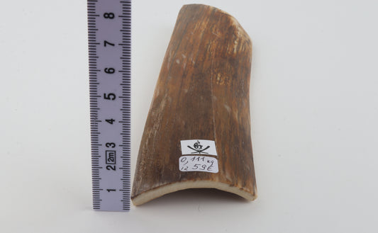 Orange-beige mammoth bark