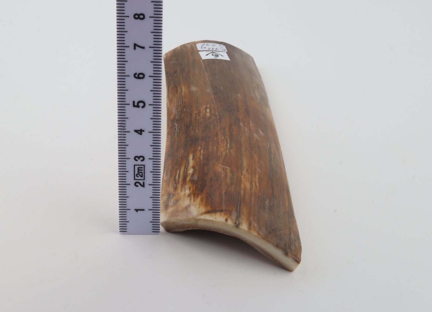 Orange-beige mammoth bark