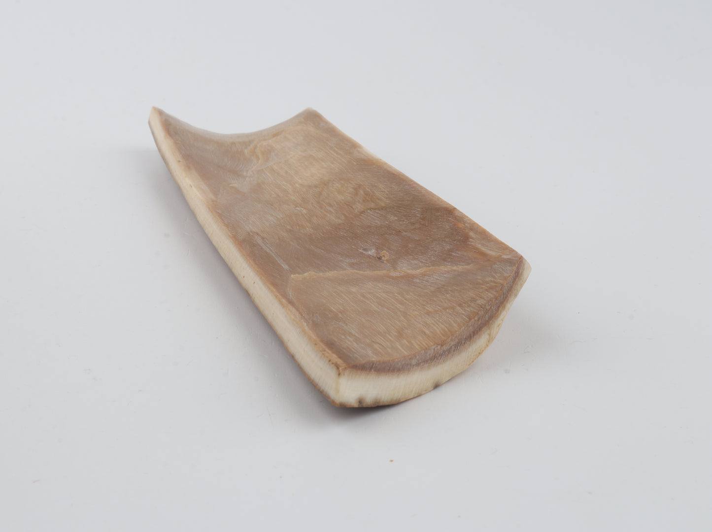 Orange-beige mammoth bark