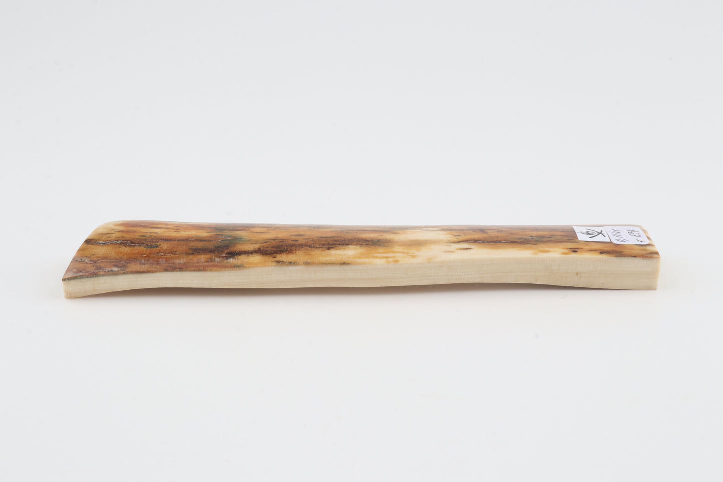Orange mammoth bark