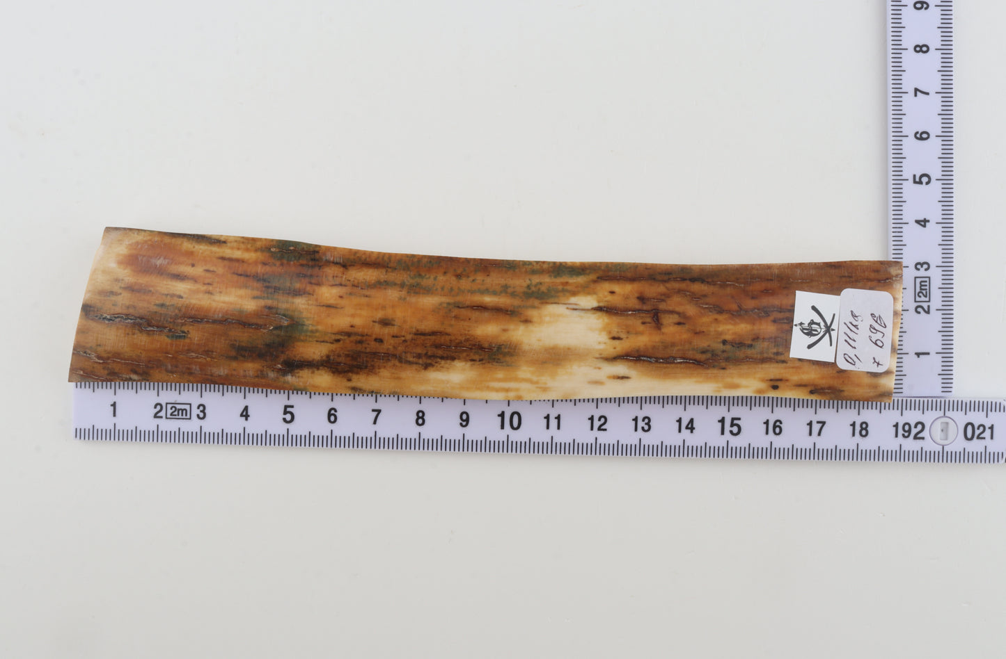 Orange mammoth bark