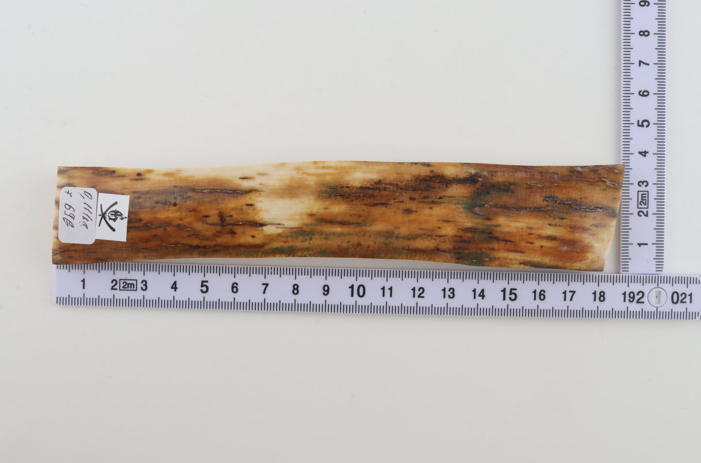 Orange mammoth bark