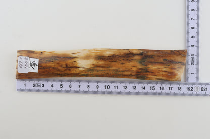 Orange mammoth bark