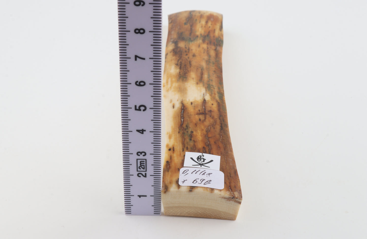 Orange mammoth bark