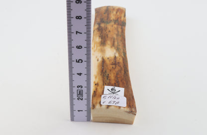 Orange mammoth bark