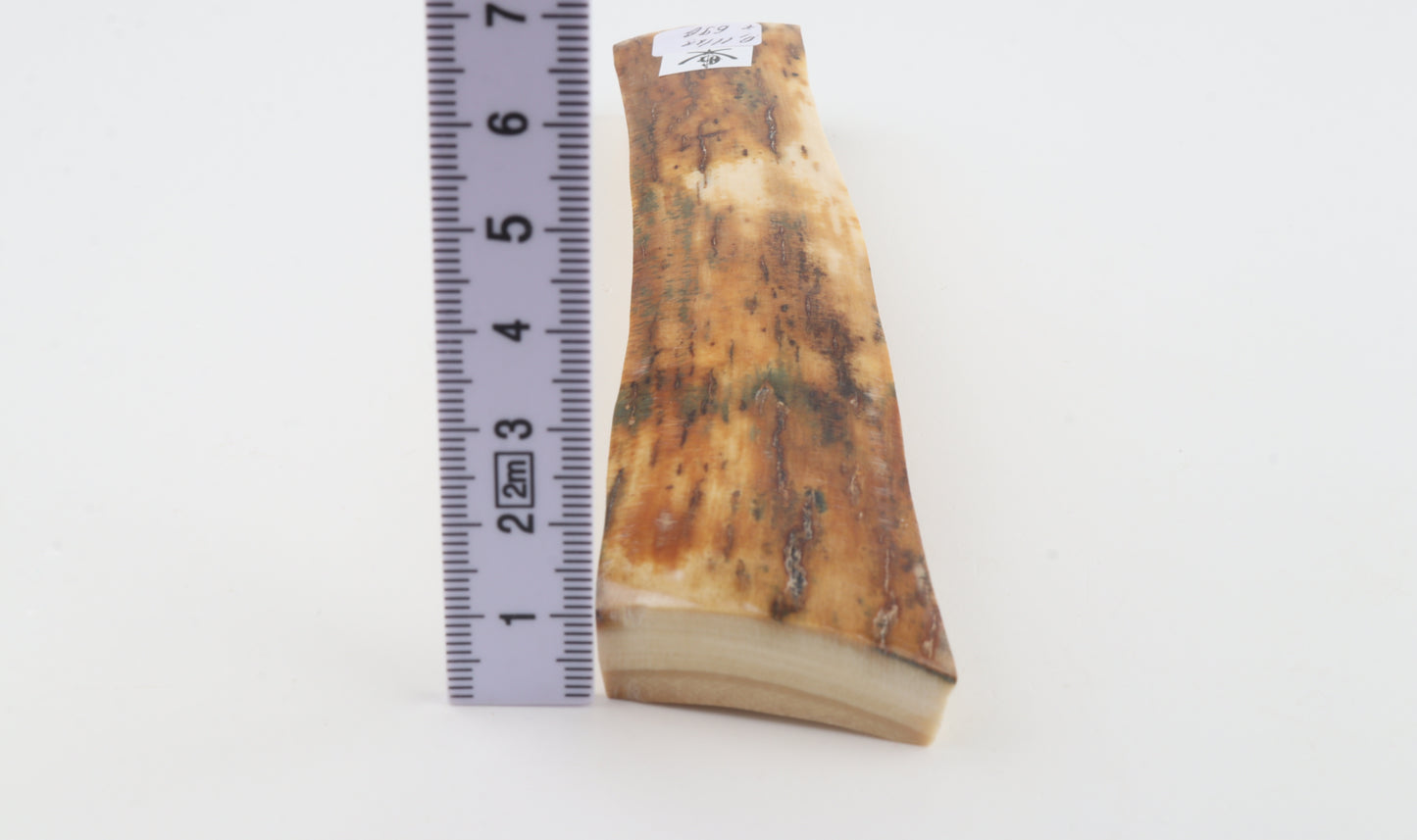 Orange mammoth bark