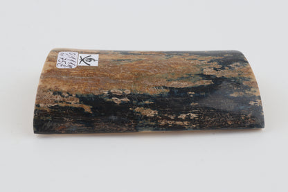 Blue-beige mammoth bark