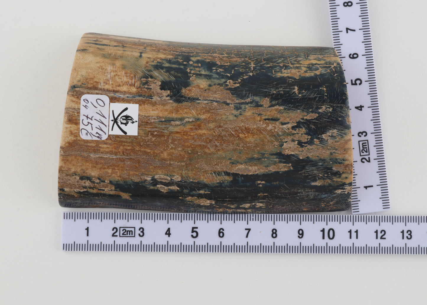 Blue-beige mammoth bark