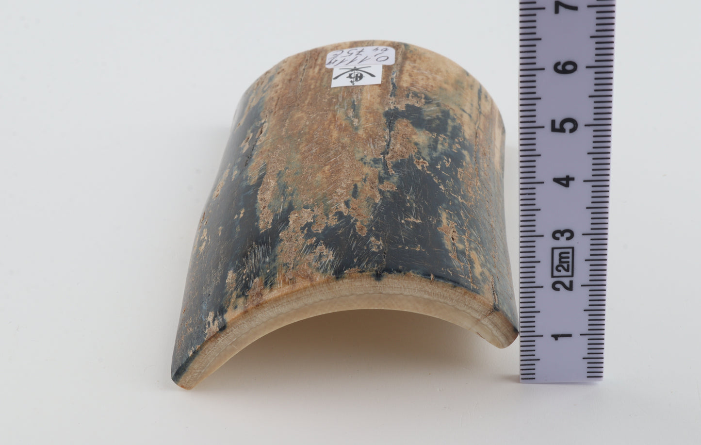 Blue-beige mammoth bark