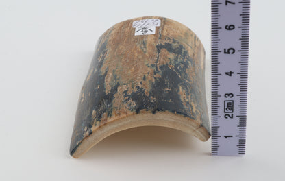 Blue-beige mammoth bark