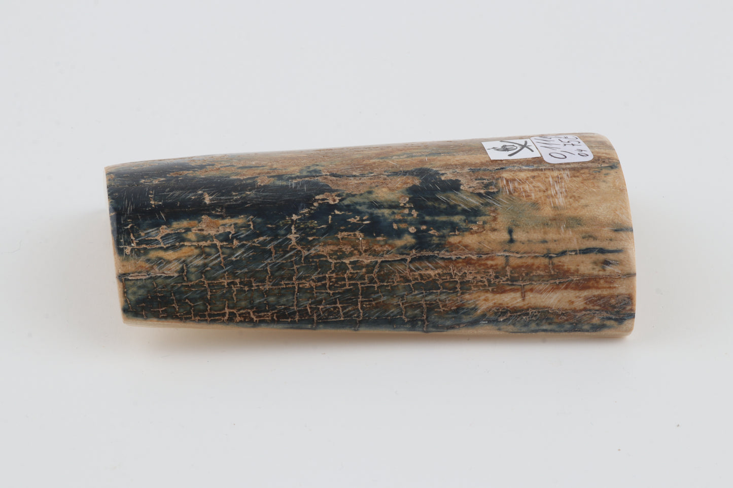 Blue-beige mammoth bark