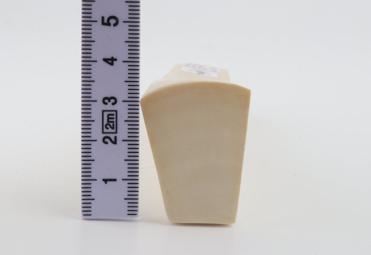 White mammoth ivory segment