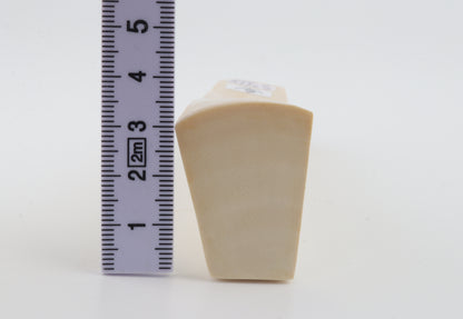 White mammoth ivory segment