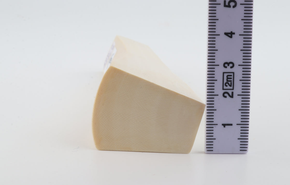 White mammoth ivory segment