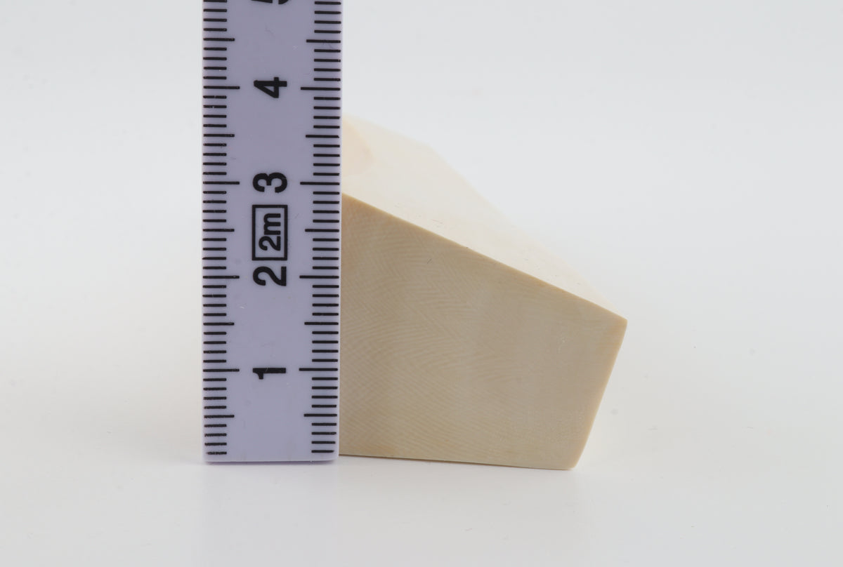 White mammoth ivory segment