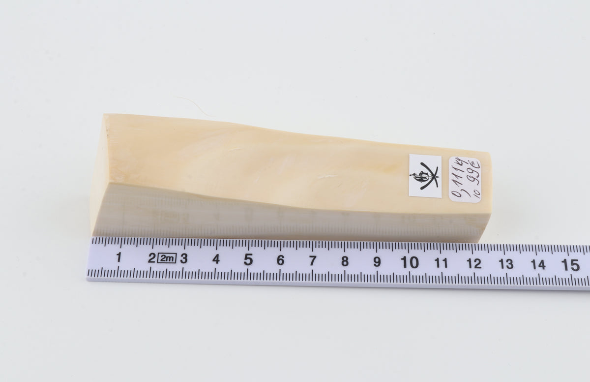 White mammoth ivory segment