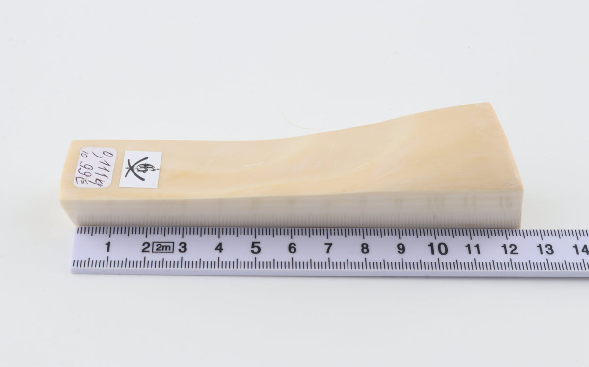 White mammoth ivory segment