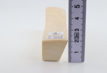 White mammoth ivory segment