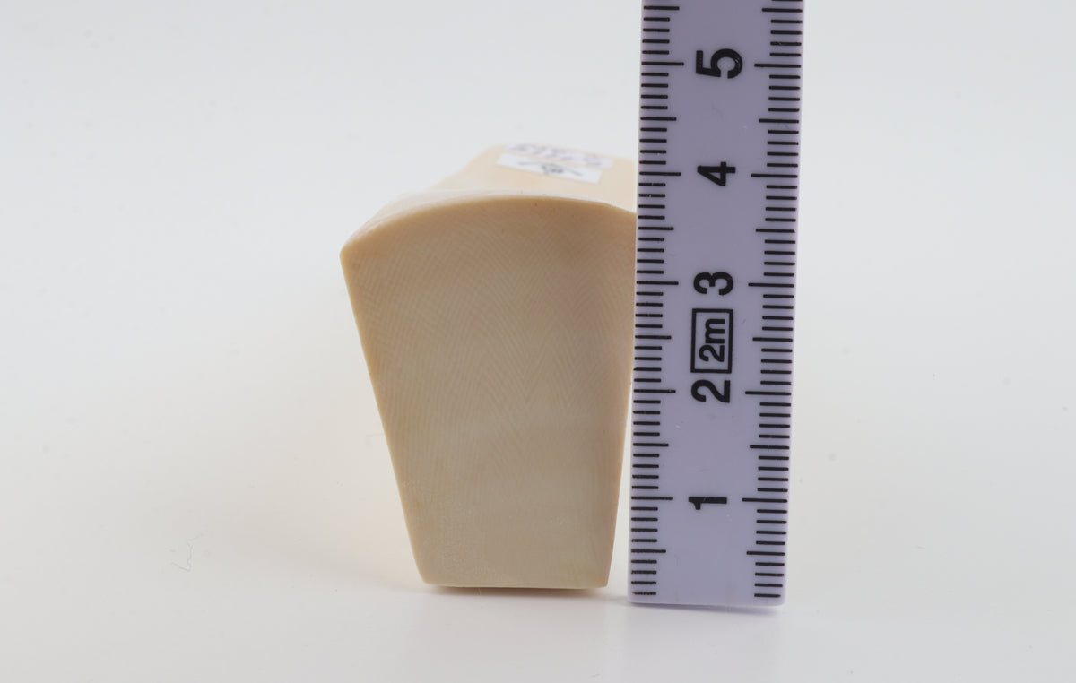 White mammoth ivory segment