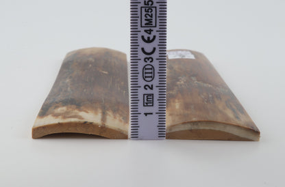 Natural mammoth bark scales