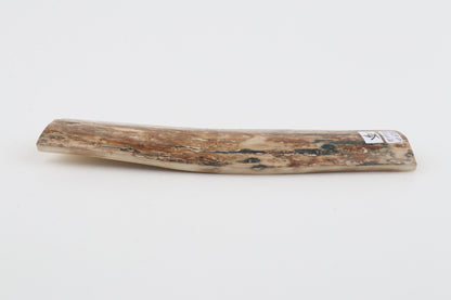 Mustard mammoth bark