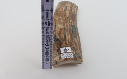 Mustard mammoth bark