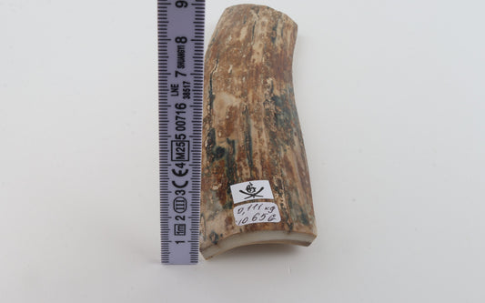 Mustard mammoth bark