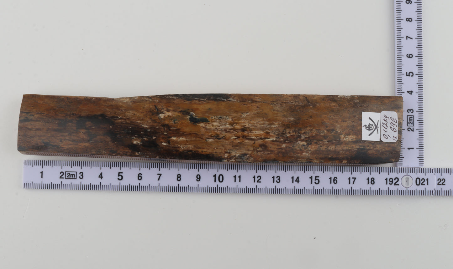 Beige-brown mammoth bark