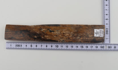 Beige-brown mammoth bark