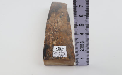 Beige-brown mammoth bark