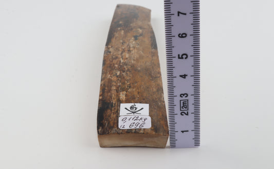 Beige-brown mammoth bark