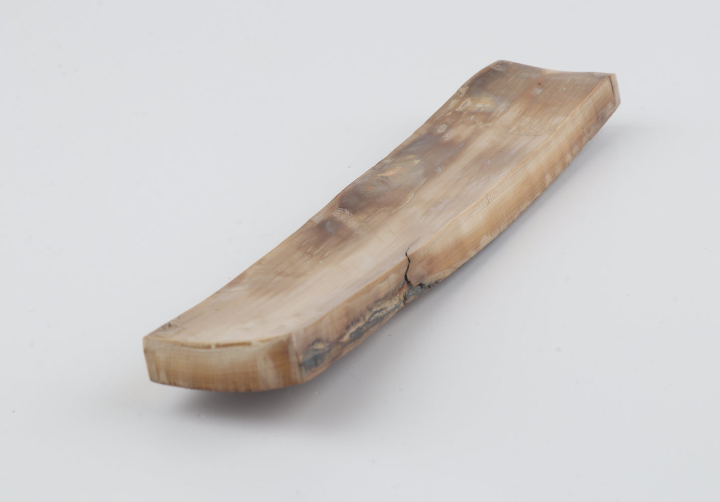 Beige-brown mammoth bark