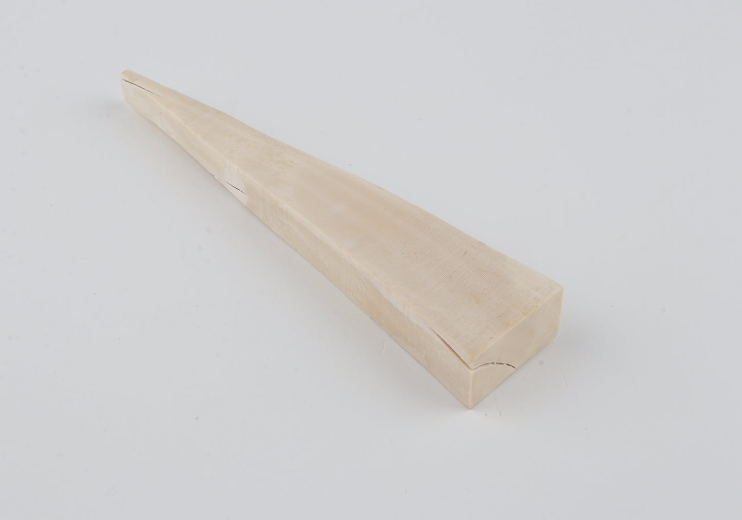 White mammoth ivory segment