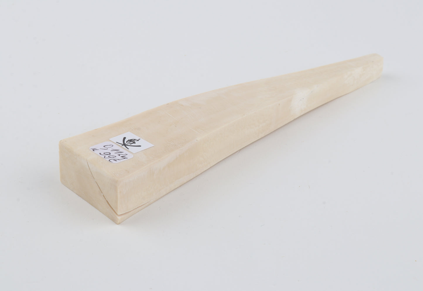 White mammoth ivory segment