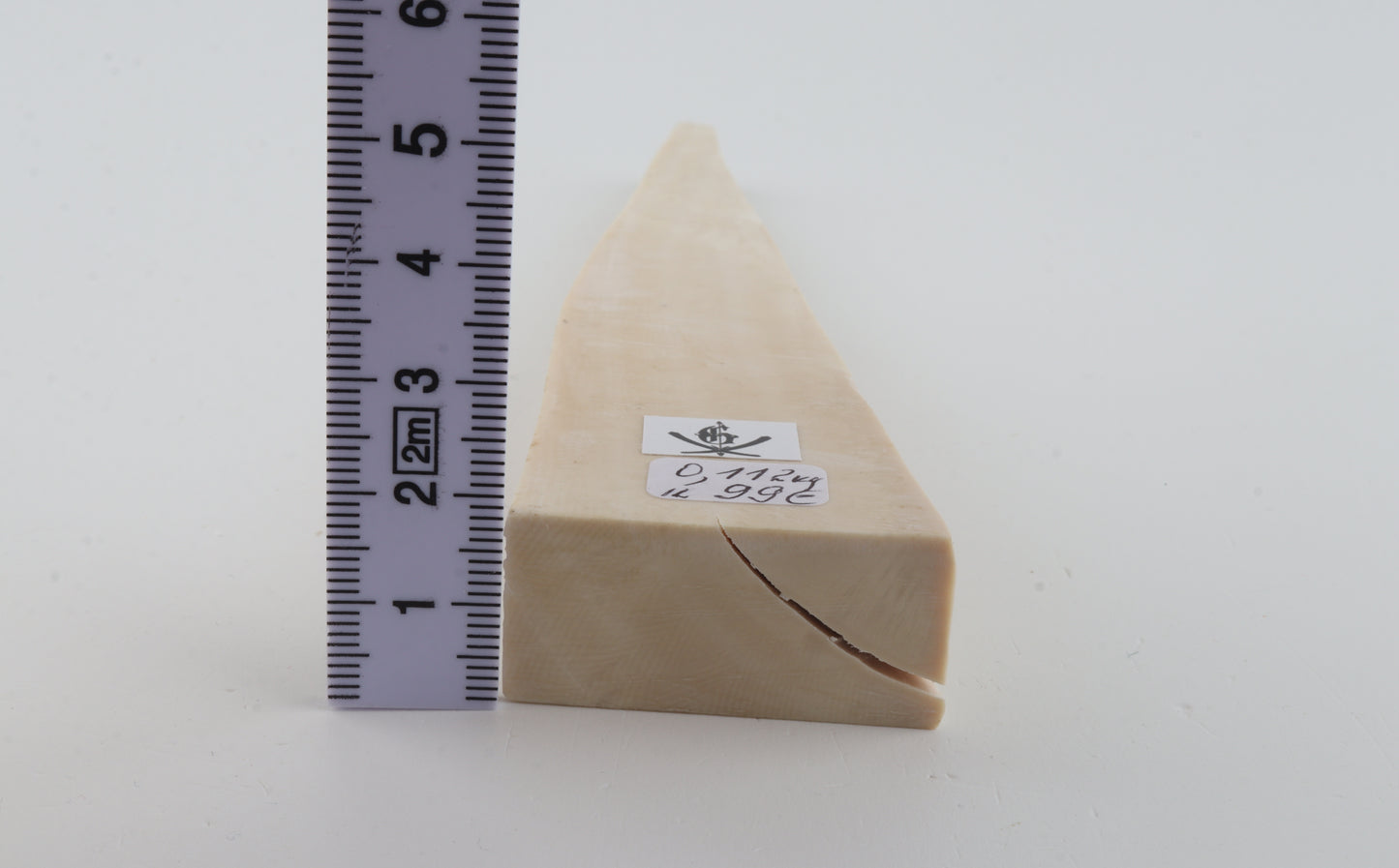 White mammoth ivory segment