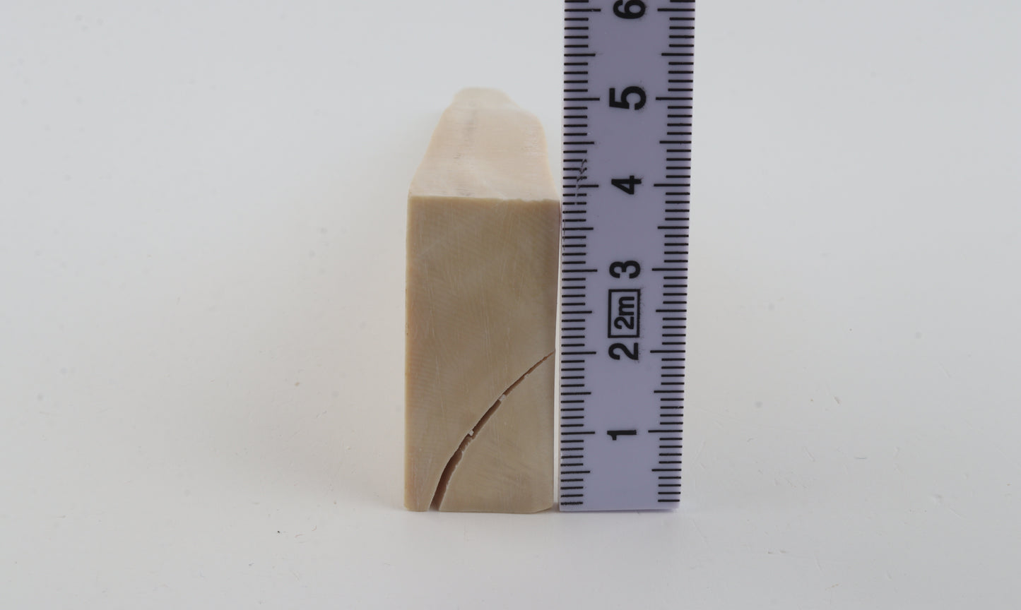 White mammoth ivory segment
