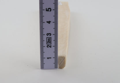 White mammoth ivory segment