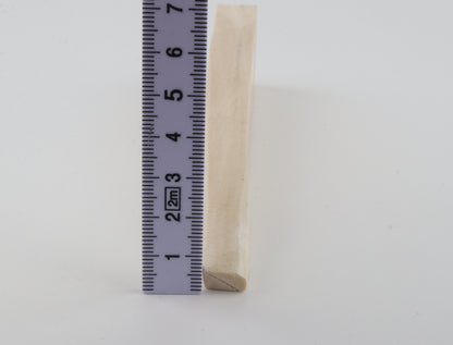 White mammoth ivory segment