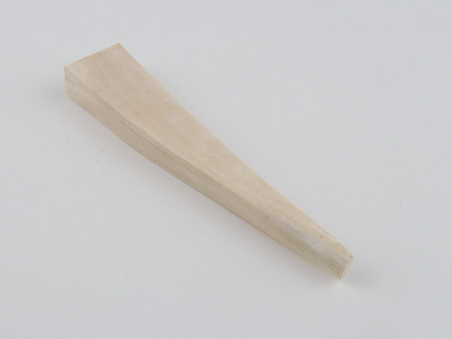 White mammoth ivory segment