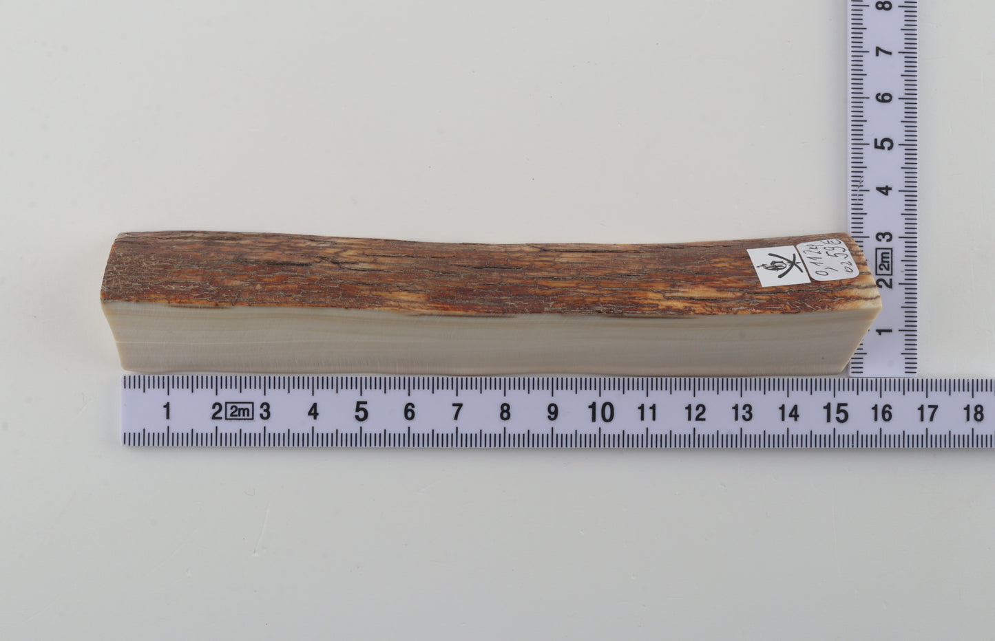 Natural mammoth ivory piece