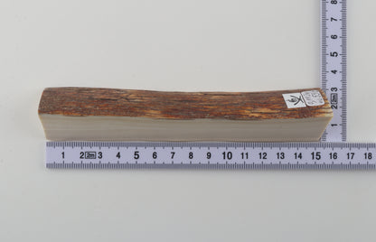 Natural mammoth ivory piece