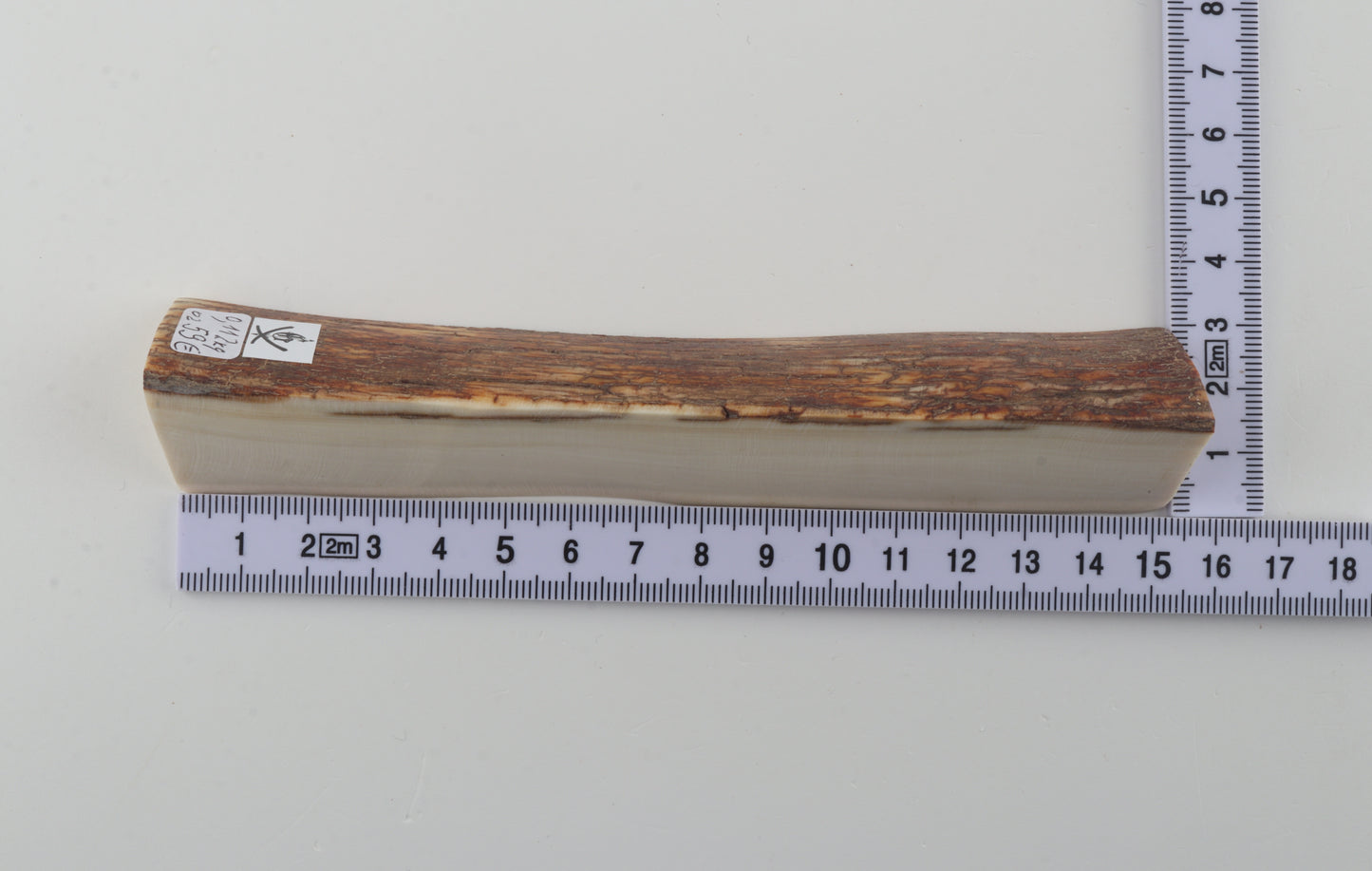 Natural mammoth ivory piece